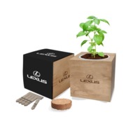Desktop Seed Garden (Mixed Herbs)